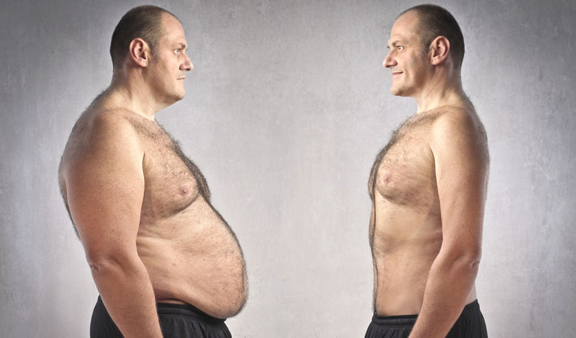belly fat comparison belly fat comparison